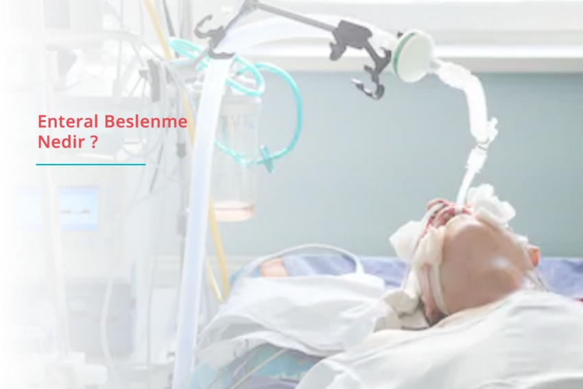 What is Enteral Nutrition?